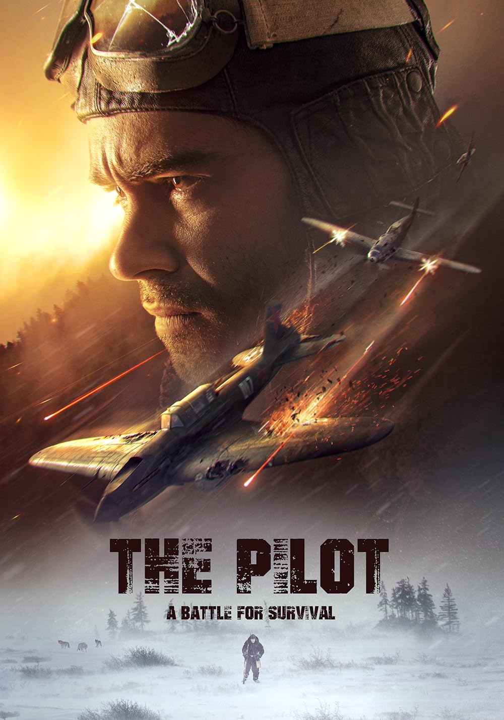 دانلود فیلم خلبان: نبردی برای بقا The Pilot. A Battle for Survival ( 2021 )