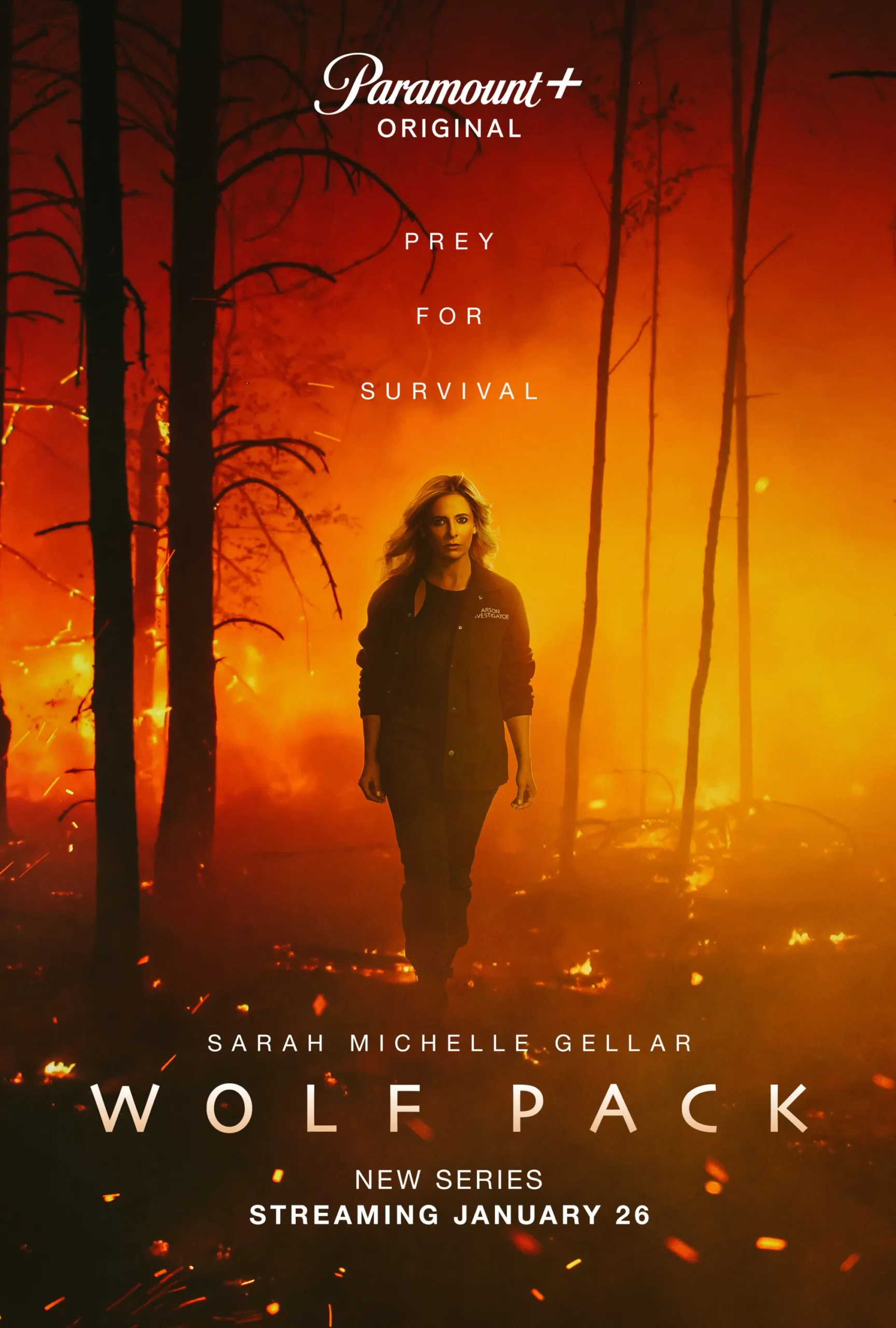 سریال دسته گرگ ها Wolf Pack 2023