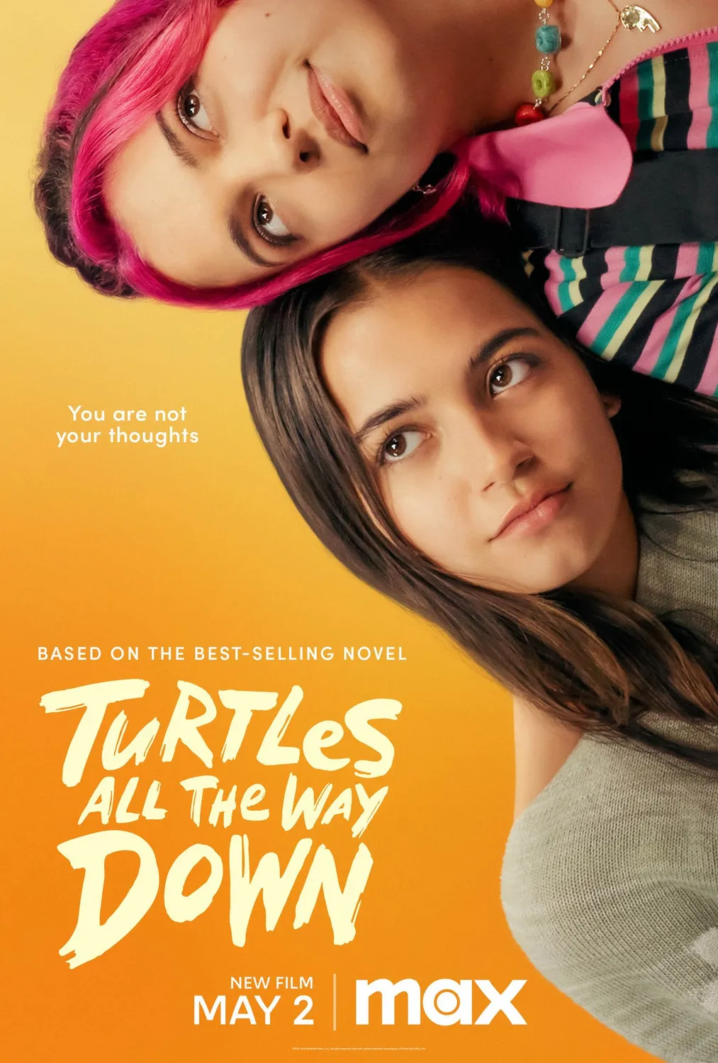 دانلود فیلم لاک‌پشت‌های بی‌پایان Turtles All the Way Down 2024