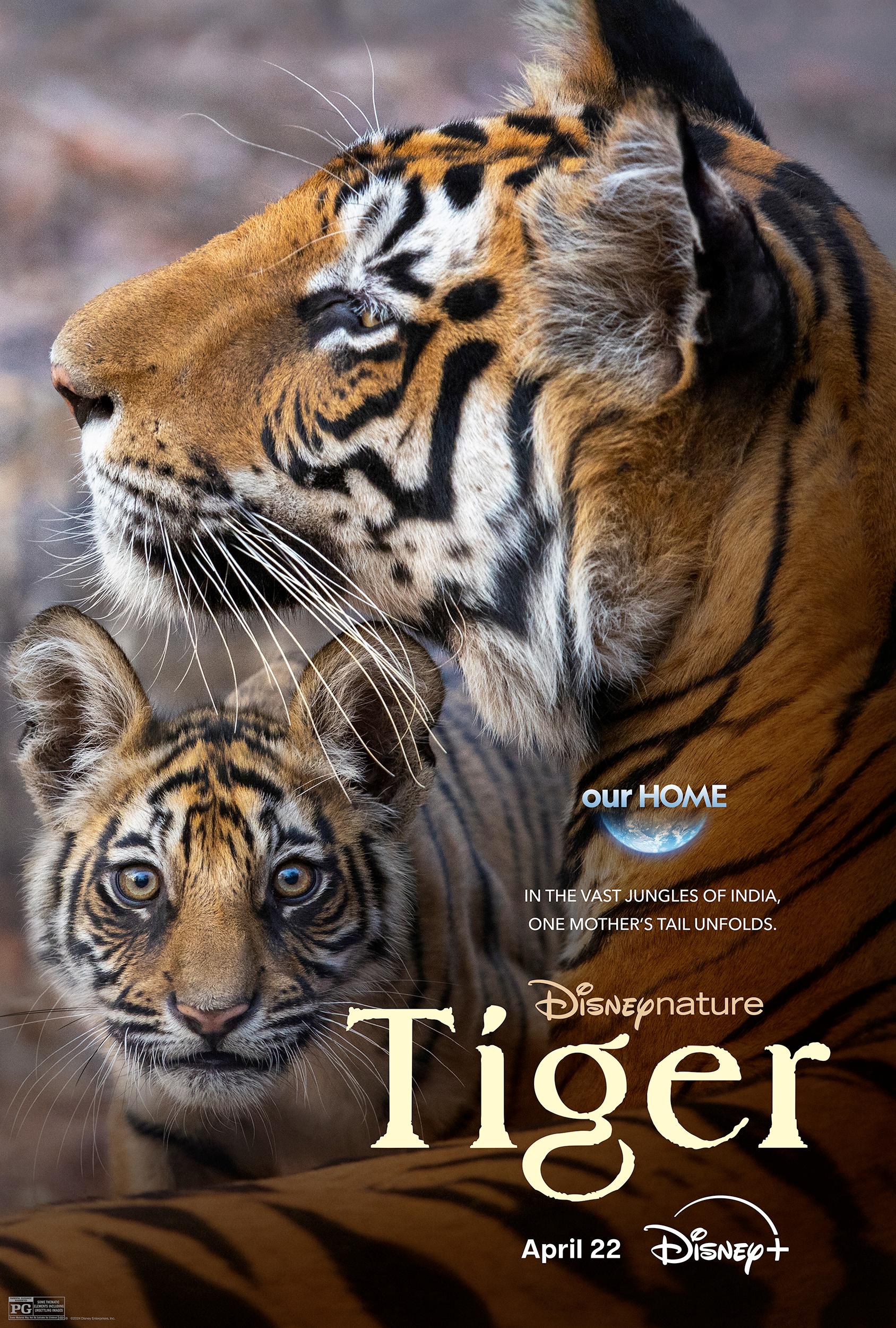 دانلود مستند ببر Tiger 2024