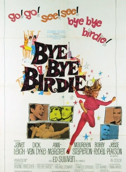 دانلود فیلم خداحافظ خداحافظ بردی Bye Bye Birdie 1963