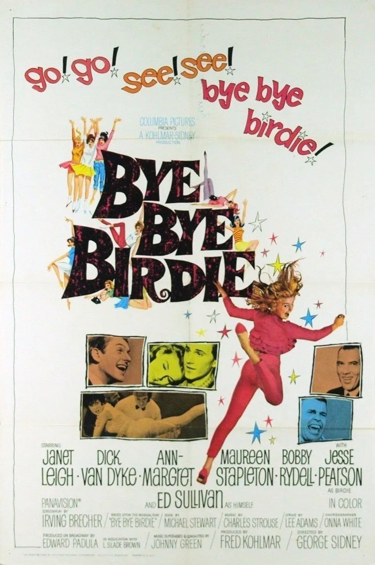 دانلود فیلم خداحافظ خداحافظ بردی Bye Bye Birdie 1963