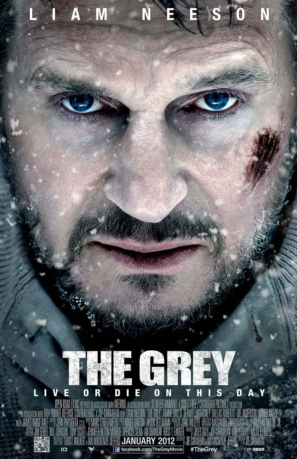 دانلود فیلم خاکستری The Grey 2011