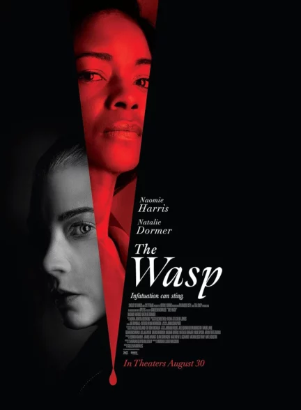 دانلود فیلم زنبور The Wasp 2024