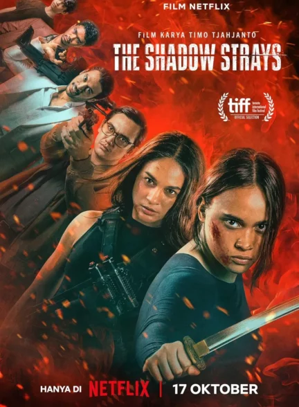 دانلود فیلم سایه های گمشده The Shadow Strays 2024