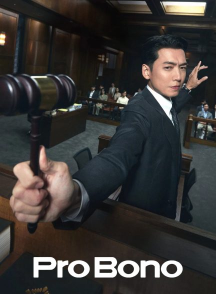 دانلود سریال کره‌ای وکیل مردم Pro Bono 2025